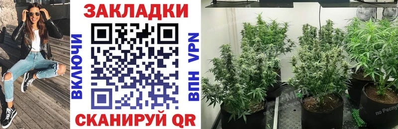 Как найти наркотики Нелидово MDMA  Амфетамин  Канабис  Меф мяу мяу  Alpha PVP 