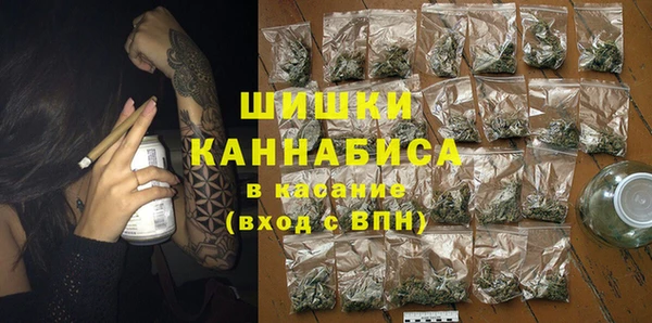 мет Новозыбков